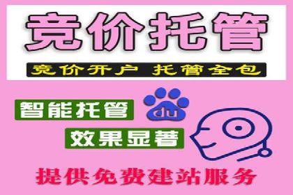 sem竞价代运营的转化率提升技巧及实际案例
